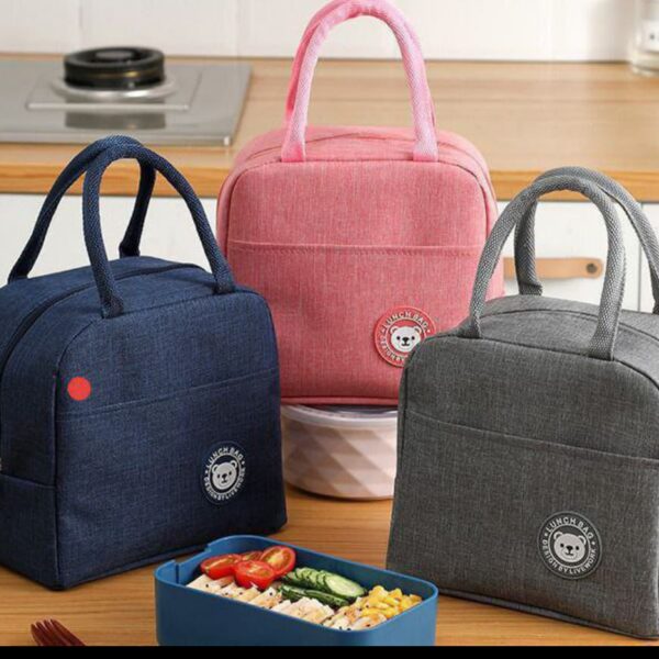Fancy insulated lunch bag